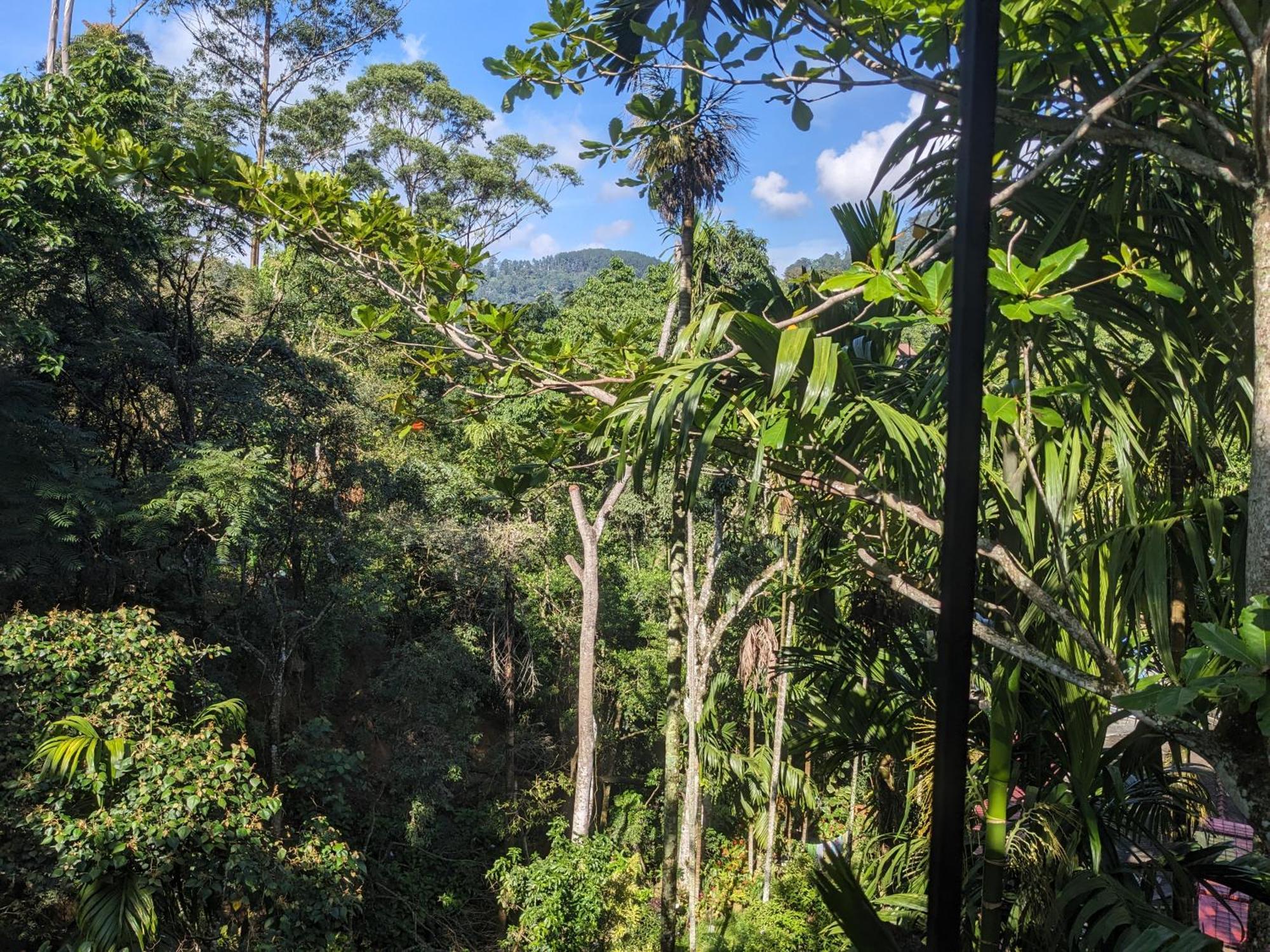 Ella Jungle Inn Homestay And Tree House Exterior photo