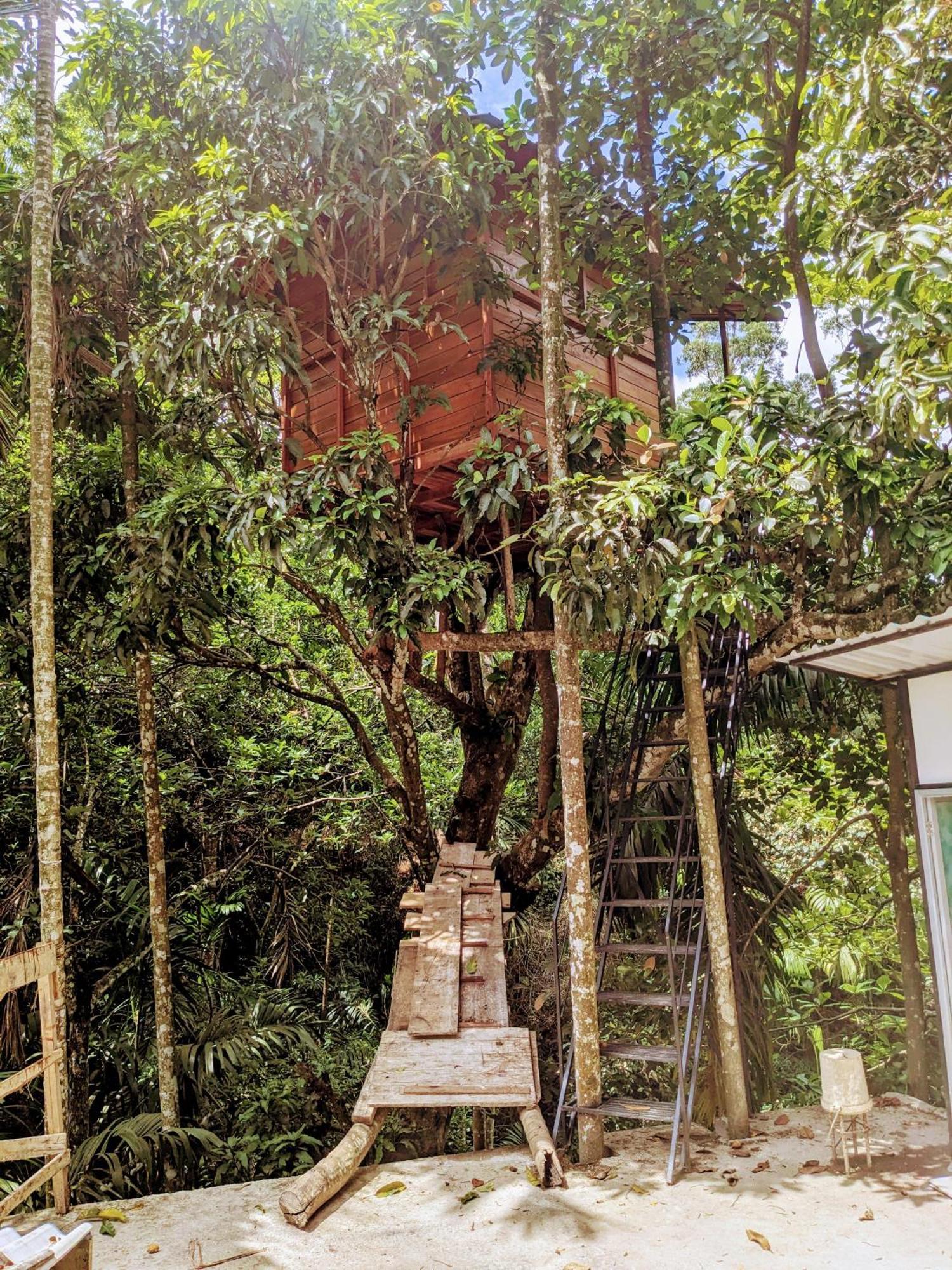 Ella Jungle Inn Homestay And Tree House Exterior photo