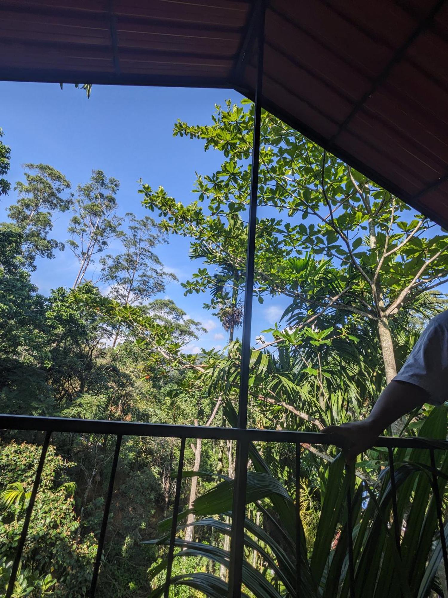 Ella Jungle Inn Homestay And Tree House Exterior photo