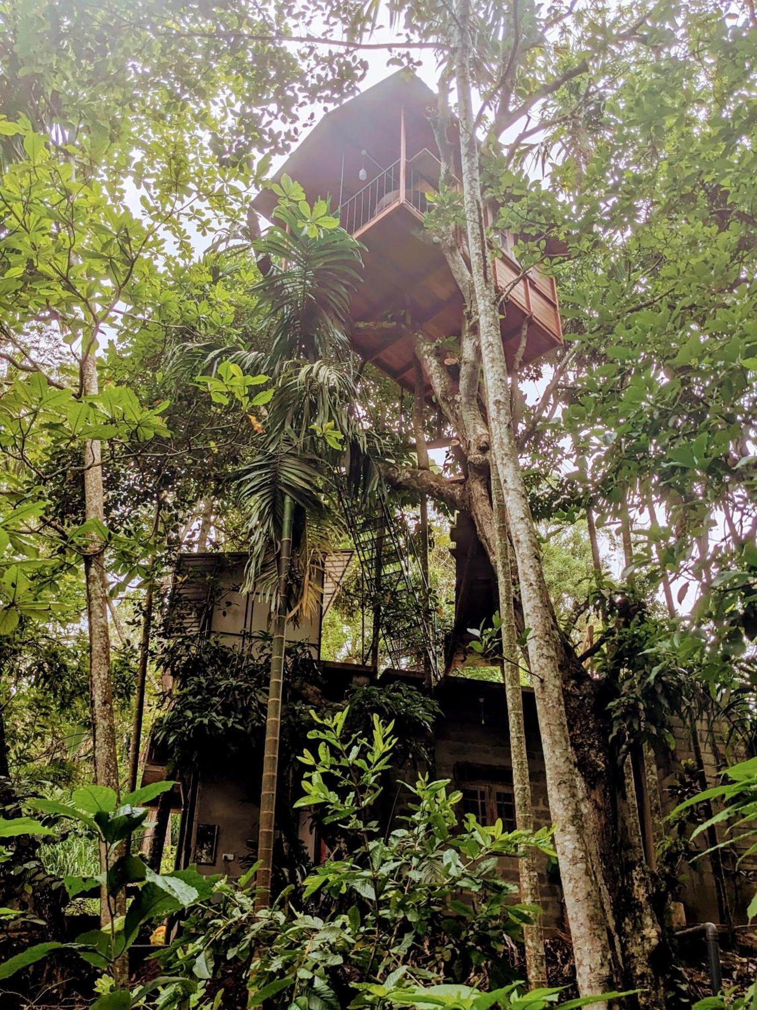 Ella Jungle Inn Homestay And Tree House Exterior photo