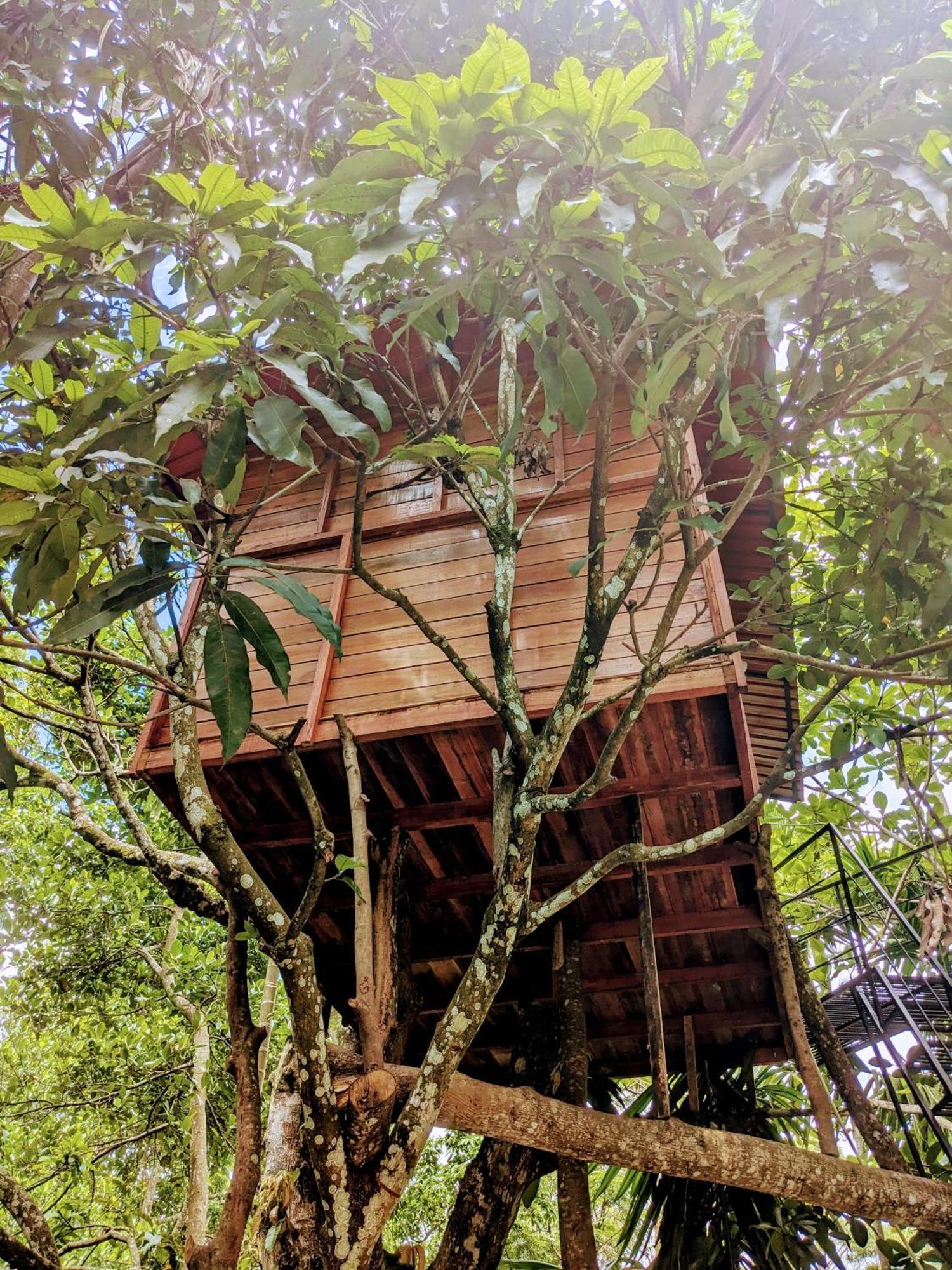 Ella Jungle Inn Homestay And Tree House Exterior photo