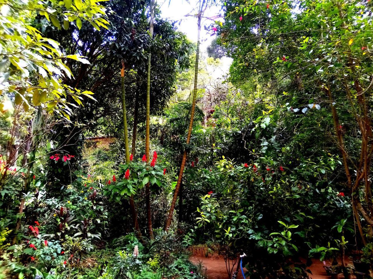 Ella Jungle Inn Homestay And Tree House Exterior photo
